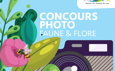 Concours photos TVB